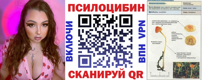 Псилоцибиновые грибы Psilocybe  купить  сайты  Касли 